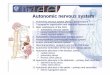 Autonomic nervous system - Lazarov