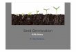 Seed Germination - shcollege.ac.in