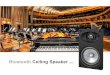 Bluetooth Ceiling Speaker - Zykronix