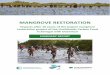 Impacts after 10 years of the largest mangrove restoration 