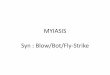 MYIASIS Syn : Blow/Bot/Fly-Strike