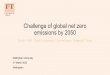 Challenge of global net zero emissions by 2050