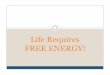 Life Requires Free Energy - BEHS Science