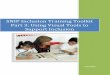 SNIP Inclusion Training Toolkit Part 3: Using Visual Tools 
