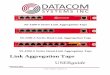 Link Aggregation Taps - Datacom Systems Inc