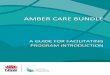 AMBER CARE BUNDLE - Ministry of Health