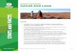 Behind the Brands SUGAR AND LAND - Oxfam Canada