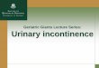 Geriatric Giants Lecture Series: Urinary incontinence