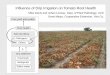 Influence of Drip Irrigation on Tomato Root Health