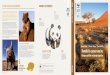 Conservation Namibia's conservancies