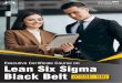 Executive Certificate Course on Lean Six Sigma Black Belt 
