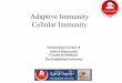 Adaptive Immunity Cellular Immunity