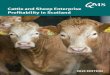 Cattle and Sheep Enterprise Profitability in Scotland