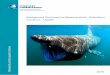 Background Document on Basking shark, Cetorhinus maximus 