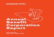Annual Benefit Corporation Report