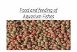 Food and feeding of Aquarium Fishes