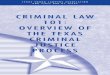 CRIMINAL LAW 101: OVERVIEW OF THE TEXAS CRIMINAL …