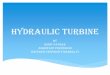 HYDRAULIC TURBINE - Invertis University