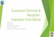 Ecosystem Services & Valuation: Examples from Belize