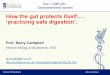 How the gut protects itself…. practising safe digestion’