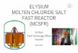 ELYSIUM MOLTEN CHLORIDE SALT FAST REACTOR (MCSFR)