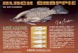 Blackcrappie Painting - | TAXIDERMY SUPER