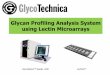 Glycan Profiling Analysis System using Lectin Microarrays