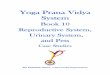 Yoga Prana Vidya System