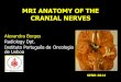 MRI ANATOMY OF THE CRANIAL NERVES