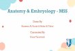 Anatomy & Embryology - MSS
