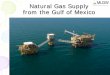 Natural Gas Supply from the Gulf of Mexico