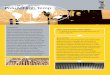Product Sheet PoluAl High Temp - Blygold