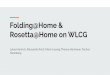 Rosetta@Home on WLCG Folding@Home