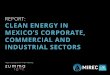 REPORT: CLEAN ENERGY IN MEXICO’S CORPORATE, …