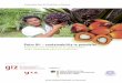 Palm Oil – sustainability is possible!