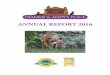 ANNUAL REPORT 2016 - FRANKIE AND ANDY'S PLACE
