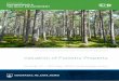Valuation of Forestry Property - University of Cape Town