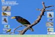 CERTIFICATE COURSE ON BIRD IDENTIFICATION AND BASIC 