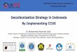 Decarbonization Strategy in Indonesia By Implementing CCUS