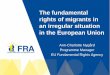 The fundamental rights of migrants in an irregular 