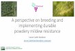 A perspective on breeding and implementing durable powdery 