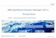 IBM Operational Decision Manager V8.9.x Tuning Guide