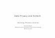 Data Privacy and Fintech - wxiong.mycpanel.princeton.edu