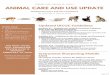 ANIMAL CARE AND USE UPDATE