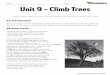 Name: Date: Unit 9 – Climb Trees - Home - Harris School