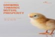 JAPFA Ltd Sustainability Report 2017 GROWING TOWARDS 