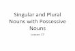 Singular and Plural Nouns with Possessive Nouns