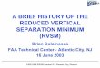 A BRIEF HISTORY OF THE REDUCED VERTICAL SEPARATION …