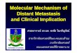 Molecular Mechanism of Distant Metastasis and Clinical 