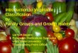 Introduction to Vegetable Classification by Family Groups 